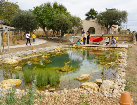 3b Piscine – transformée en mare de biodiversité